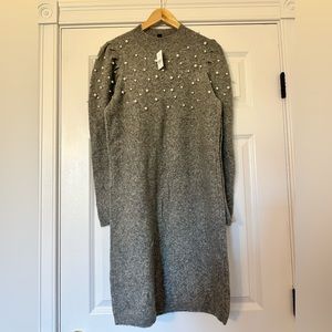 Ann Taylor Pearlized Sweater Dress